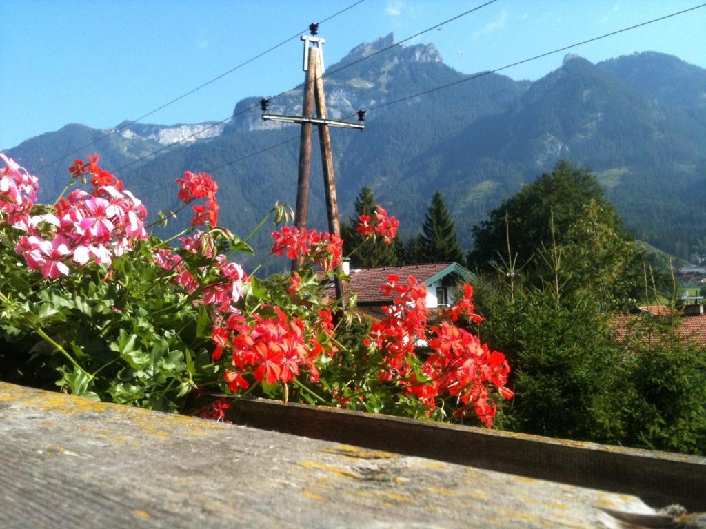 Pension Laerchenhof Maurach (Achensee) Quarto foto