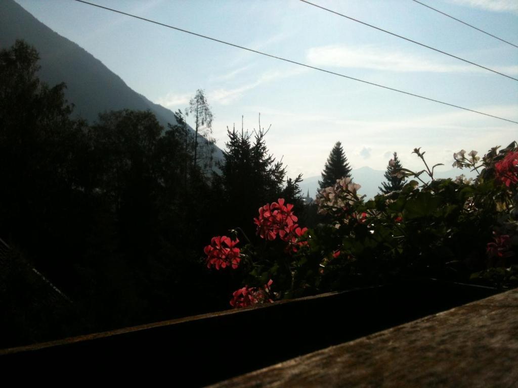 Pension Laerchenhof Maurach (Achensee) Exterior foto